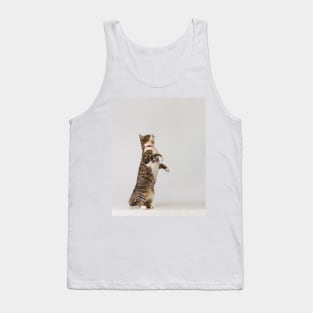 active cat playing Tank Top